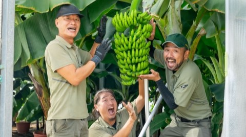 希少！岐阜県産バナナ試食販売会