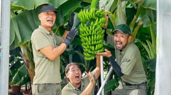 希少！岐阜県産バナナ試食販売会