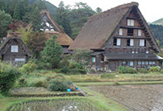 明善寺横小路