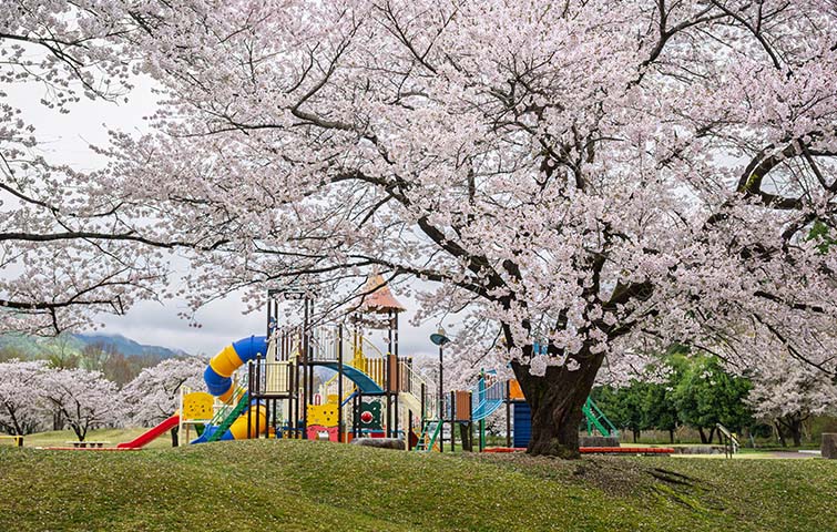 飛騨川公園