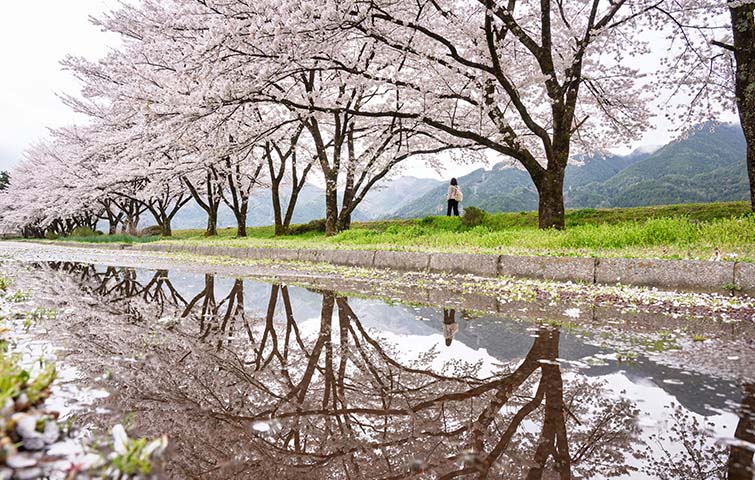 飛騨川公園