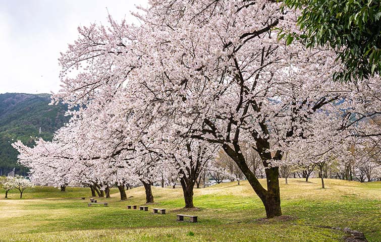 飛騨川公園
