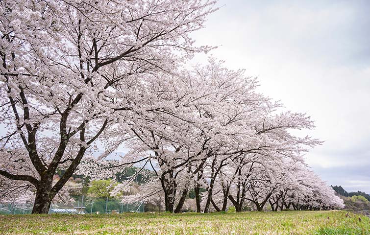 飛騨川公園