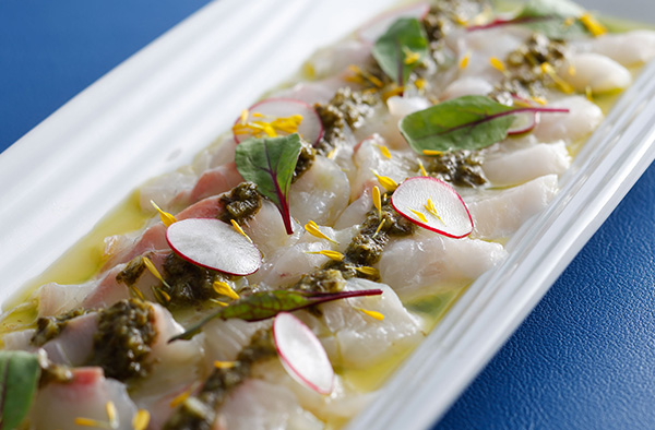 真鯛のカルパッチョ 春菊ソース