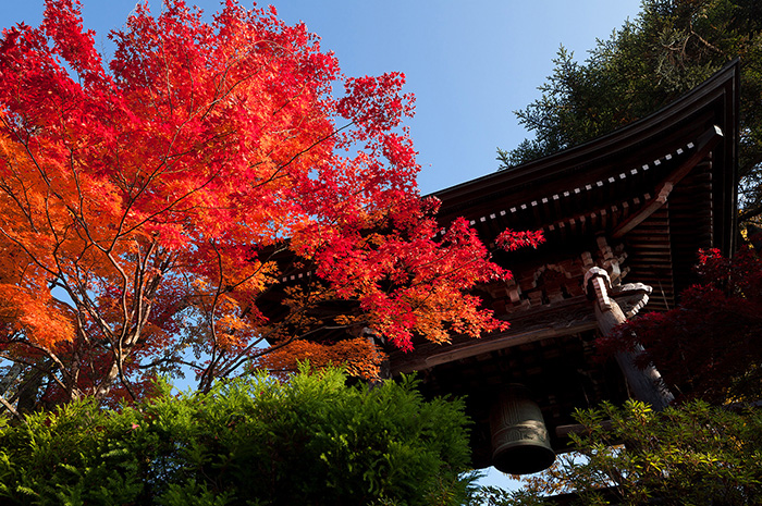Top: The Japanese atmosphere with black bell tower and red leaves