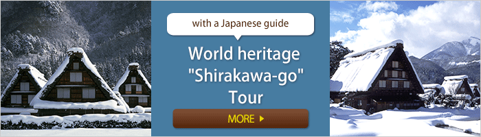 Recommended tour with a Japanese guide