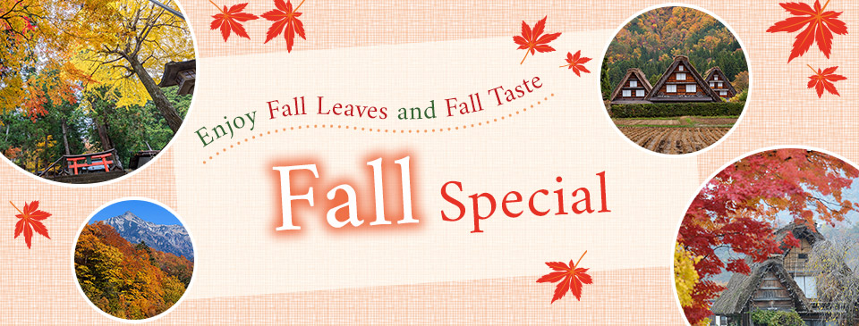 Enjoy Fall Leaves and Fall Taste Fall Special
