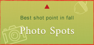 Best shot point in fall Photo Spots