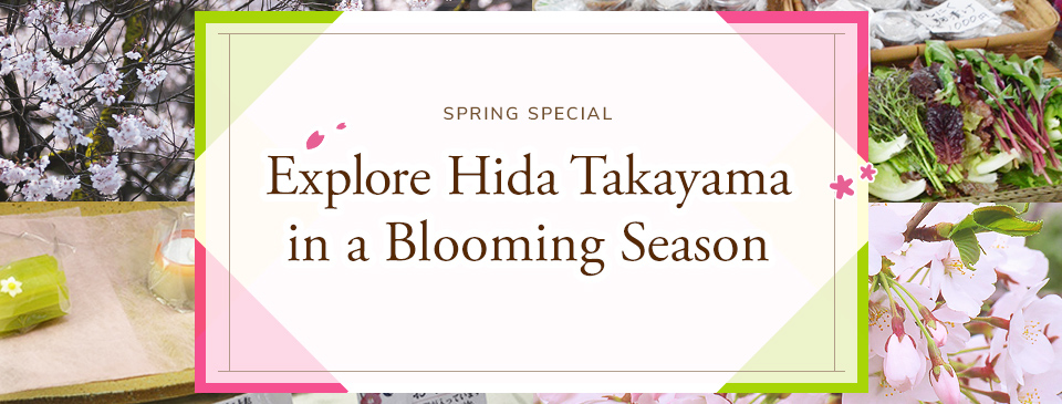 SPRING SPECIAL Explore Hida Takayama in a Blooming Season