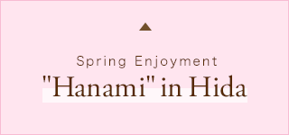 Spring Enjoyment Hanami in Hida