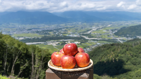 安曇野産りんご試食直売会