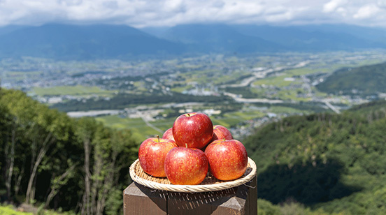 安曇野産りんご試食直売会