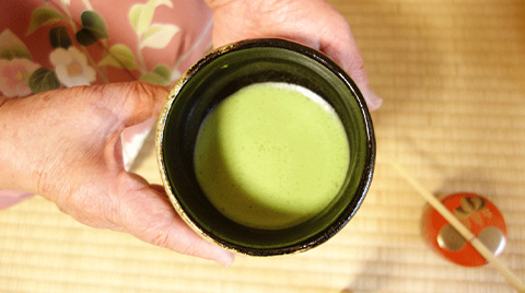 抹茶試飲販売