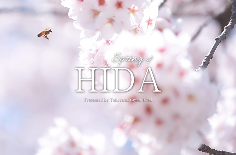 Spring HIDA