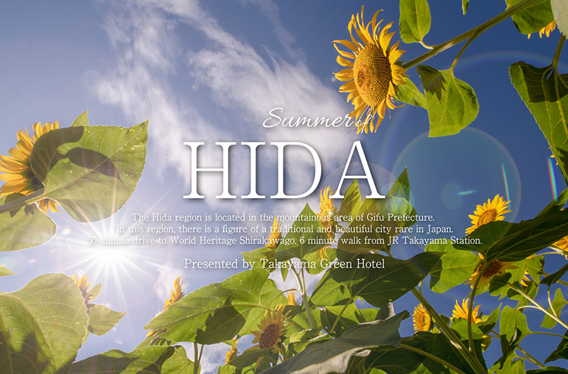 Summer HIDA