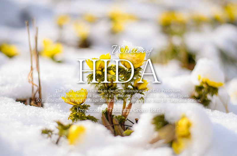 Winter HIDA