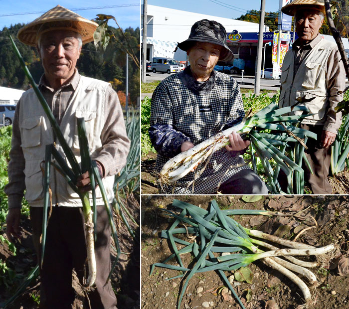 冬のご当地食材「赤保木ねぎ」｜あけてびっくり！地元情報！飛騨のたばる箱