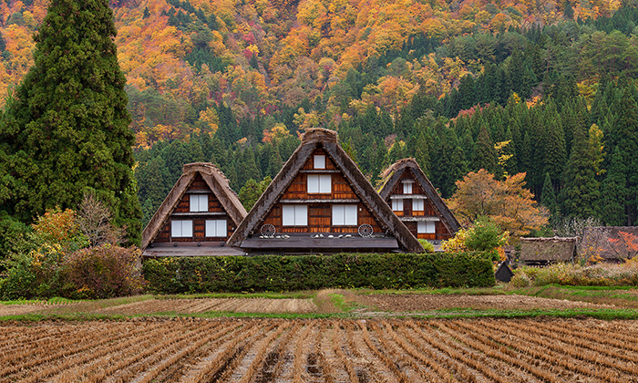 合掌造り