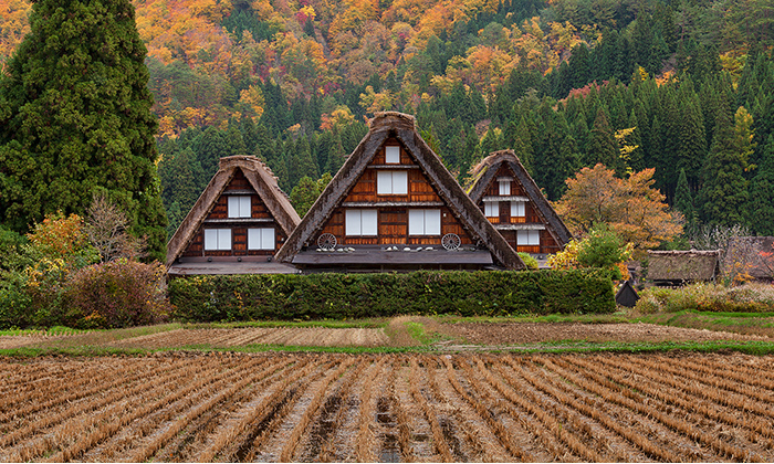 白川郷