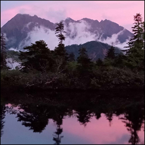 自然の中にある感動を探して