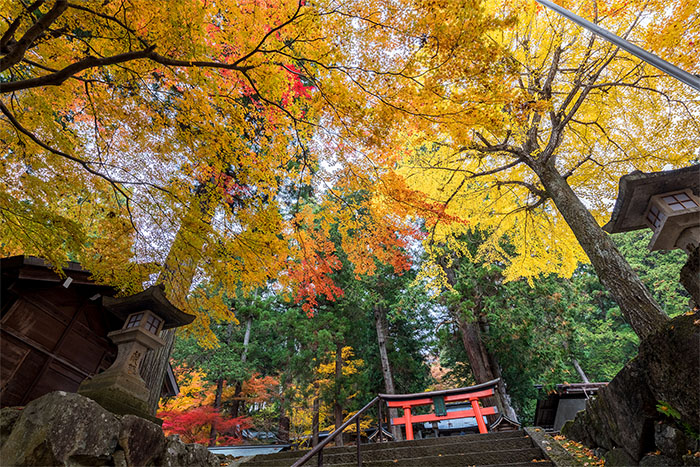 日枝神社の紅葉（高山市）