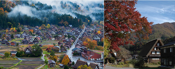 左下：「萩町城跡展望台からの1枚」合掌集落だけでも十分 絵（写真）になりますが、漂う霧と紅葉、これ以上ないシチュエーションです。霧は常に変化するので何枚も撮影しましょう。 右下：集落散策を楽しみながら何気ない撮影ポイントを探してみましょう。