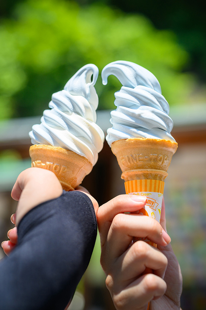 暑い夏にぴったりの「竜宮ソフト」