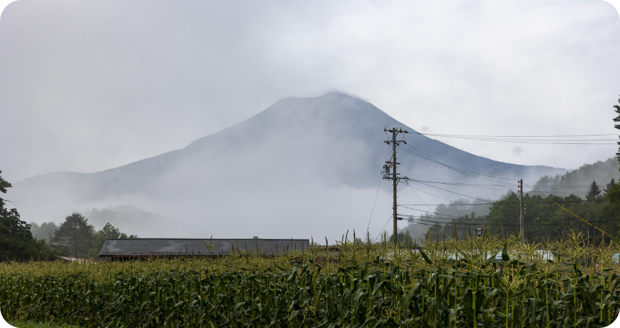 標高約1,300ｍの高地で行われる栽培