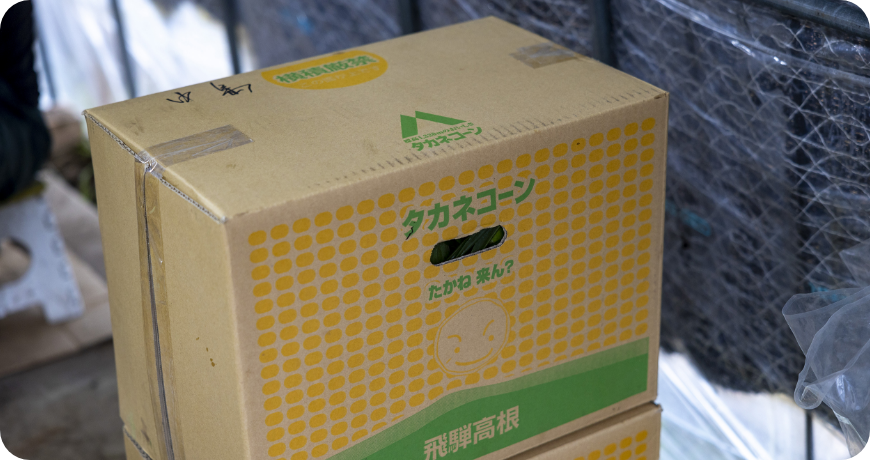 高根に来ん（飛騨弁で来ない？の意味）　とかけたタカネコーン