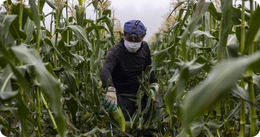受け継いできた土地の歴史