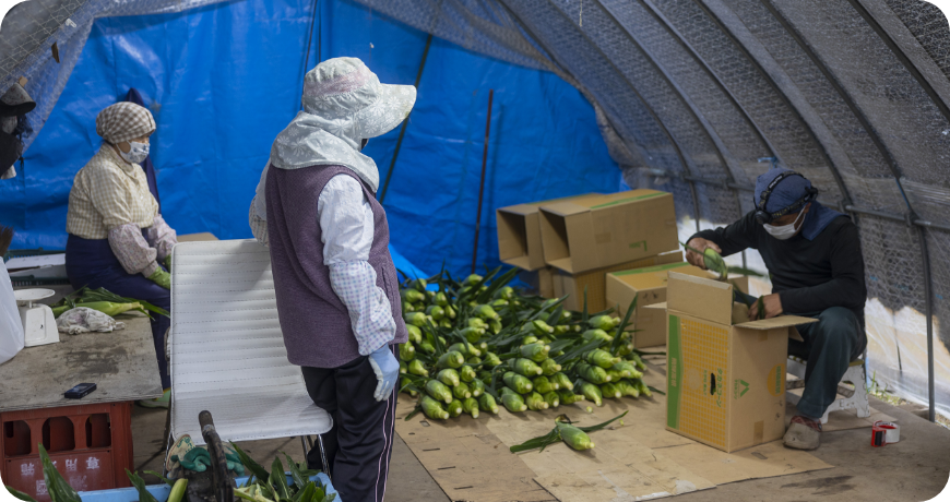 受け継いできた土地の歴史