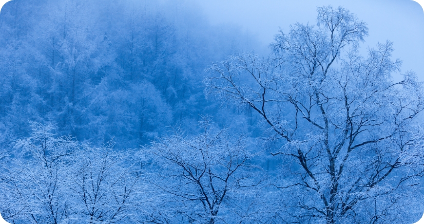 奥飛騨温泉郷 平湯
