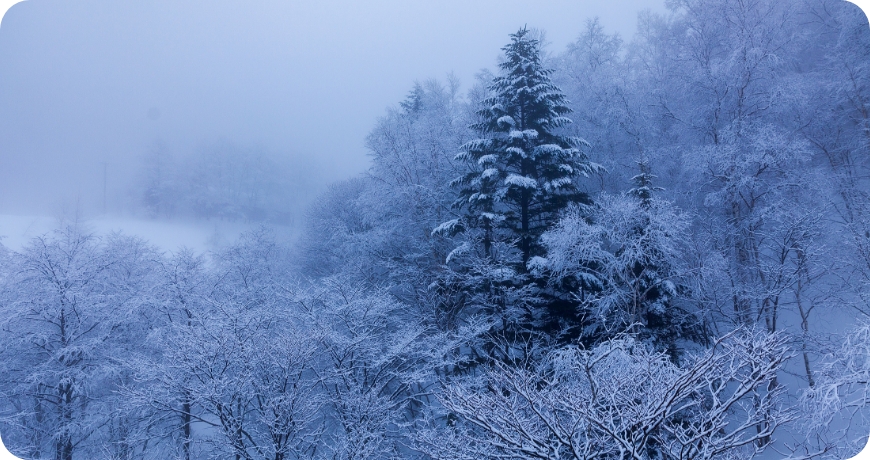 奥飛騨温泉郷 平湯