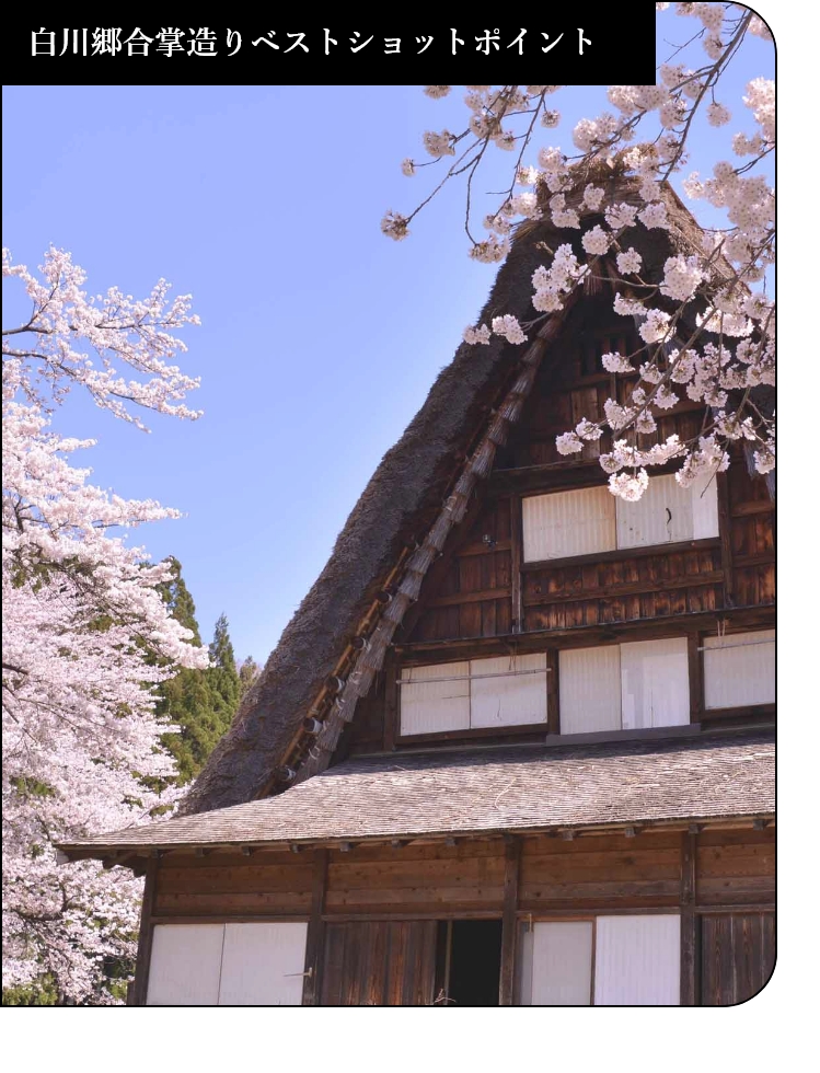 白川郷合掌造りベストショットポイント