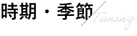 時期・季節/Timing