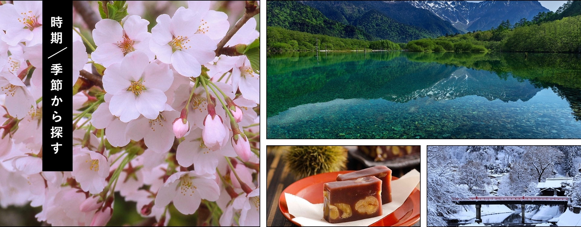 時期季節から探す